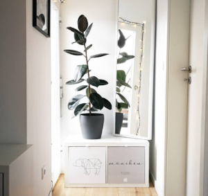 Kallax Regal mit individuellen Boxen und Pflanze