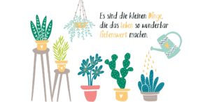 Schokoladengrüße mit Zimmerpflanzen und Spruch