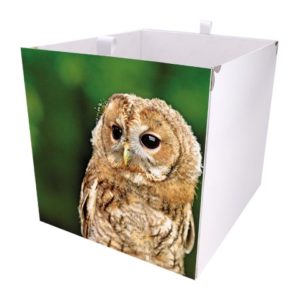 Kallax Box mit Eule