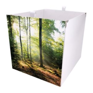 Kallax Box mit Waldmuster